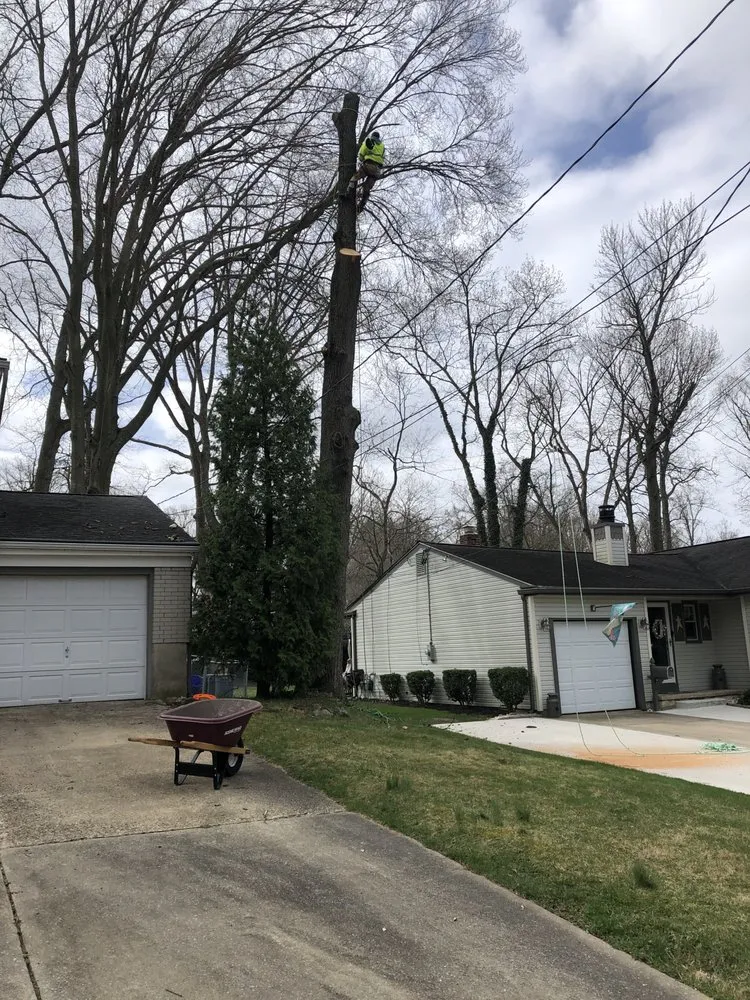 Local outdoor landscaping in Gloucester City, NJ by Premier Tree Service