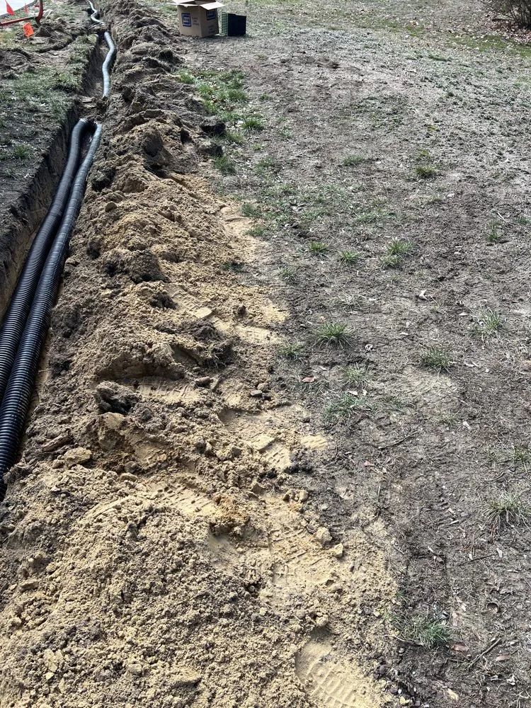 Expert lawn care service for beautiful yards across Gloucester City, NJ - Premier Tree Service