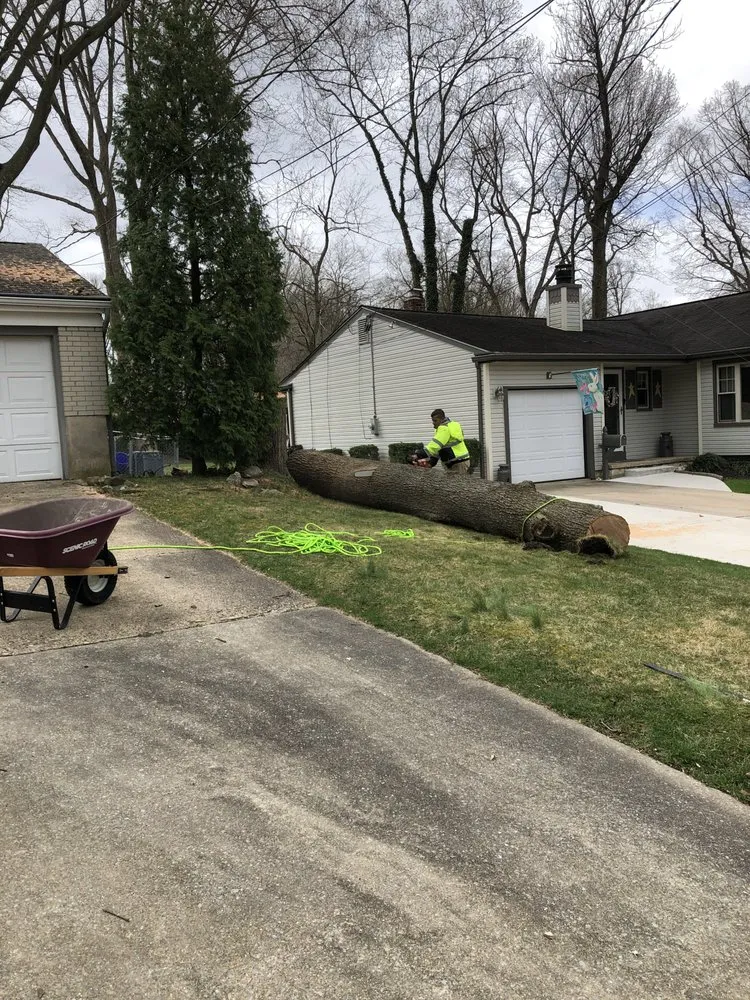 Top-rated lawn mowing service in Gloucester City, NJ - Premier Tree Service