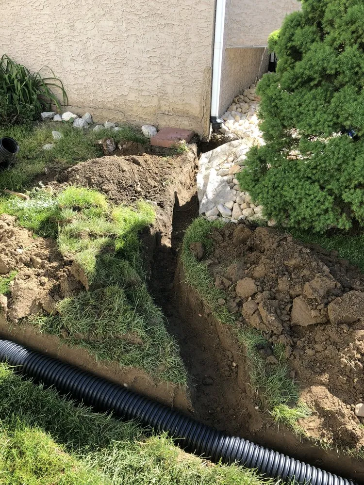 Reliable lawn mowing service in Gloucester City, NJ - Premier Tree Service