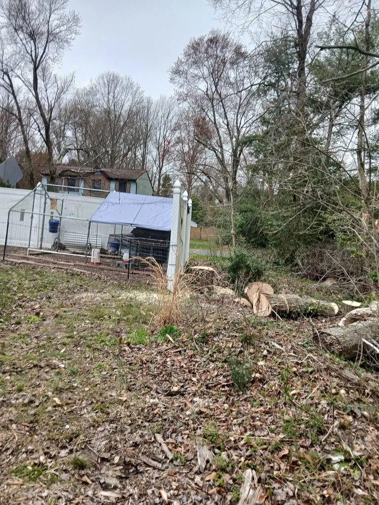 Expert residential landscaping in Gloucester City, NJ - Premier Tree Service