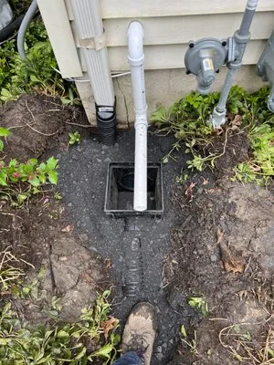 Premier Tree Service