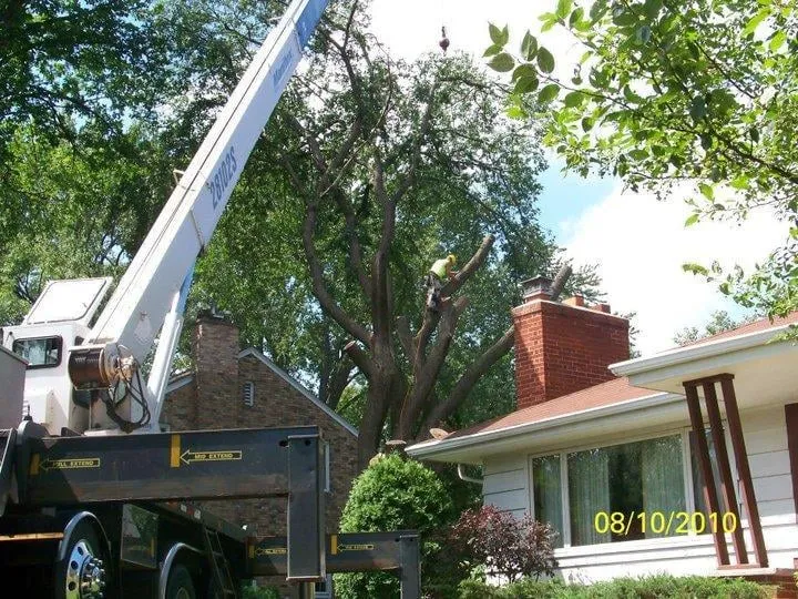 Trusted outdoor landscaping for homes across Pierz, MN - Premier Tree Service