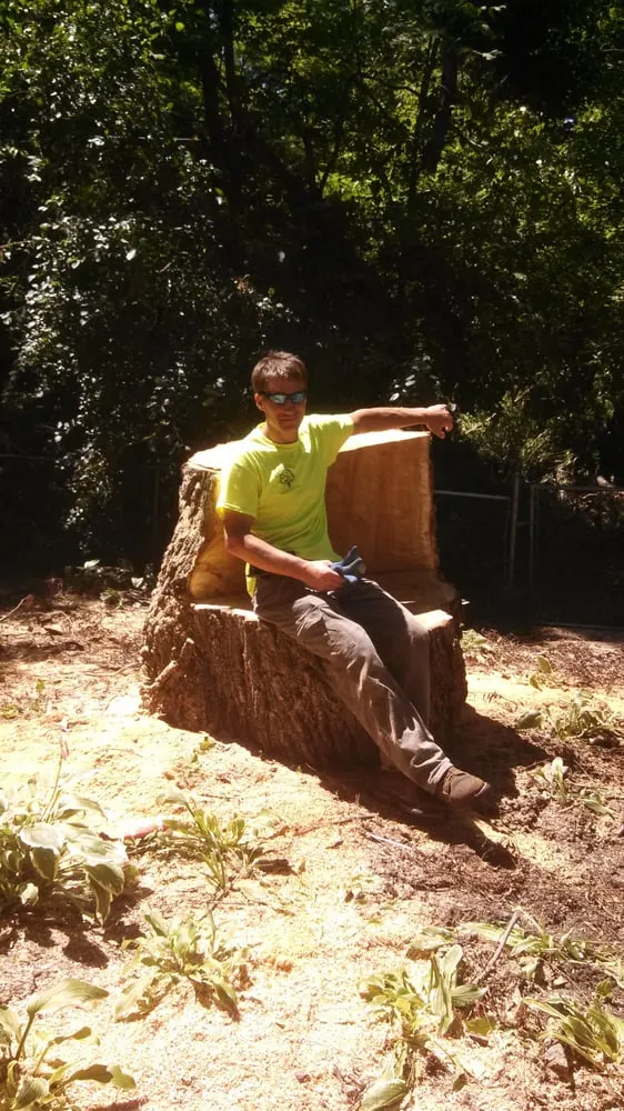 Professional landscape design in Pierz, MN by Premier Tree Service