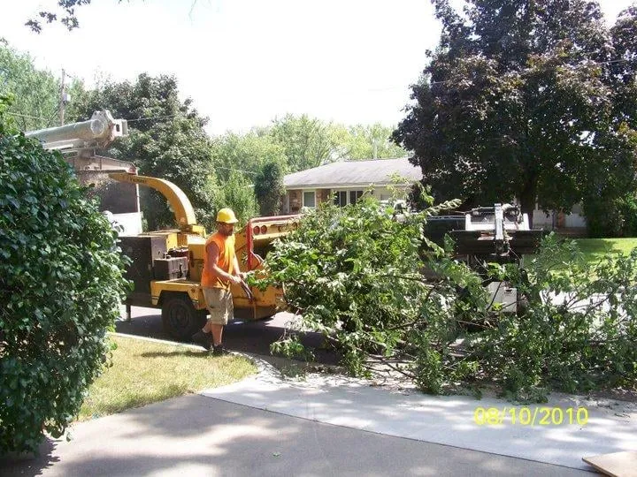 Top-rated garden landscaping in Pierz, MN by Premier Tree Service