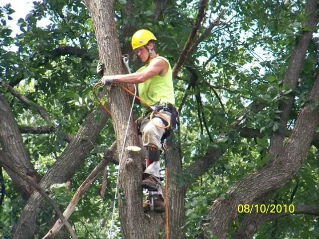 Local garden landscaping for beautiful yards in Pierz, MN by Premier Tree Service
