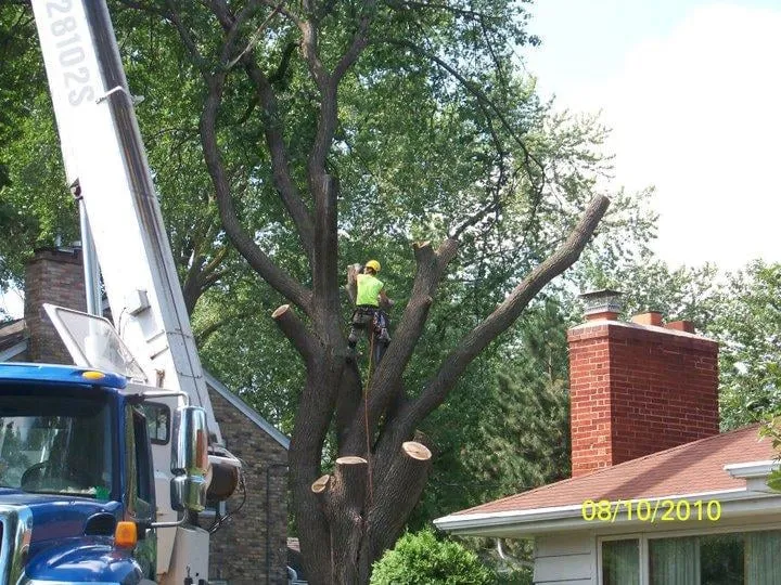 Expert outdoor landscaping experts serving Pierz, MN - Premier Tree Service