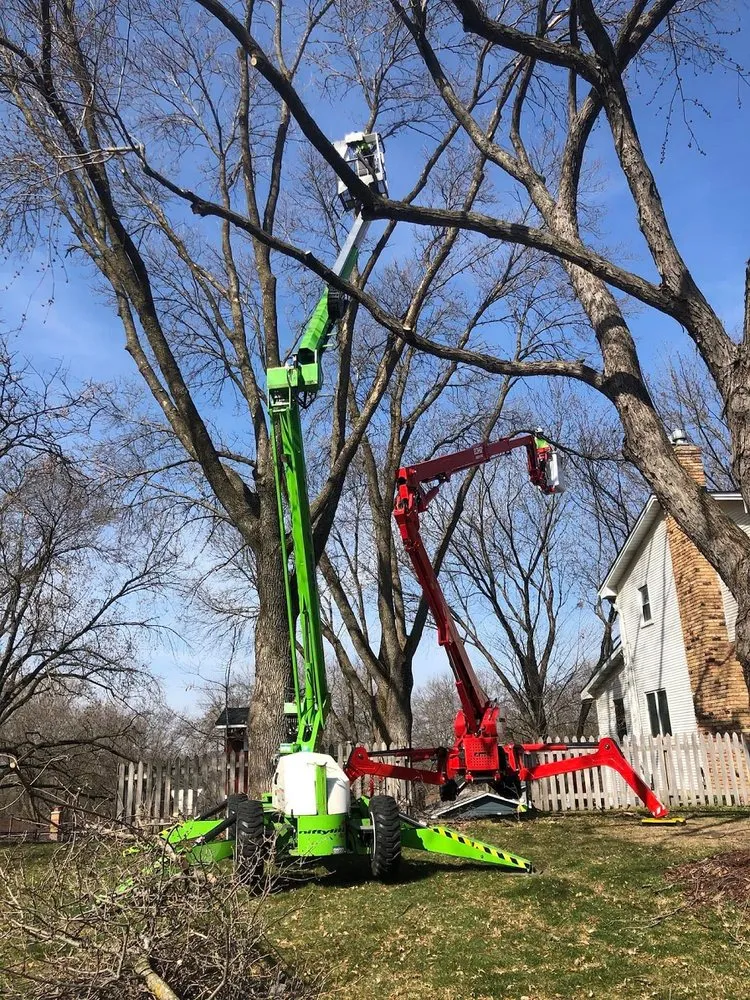Custom yard cleanup service for outdoor upgrades across Pierz, MN - Premier Tree Service