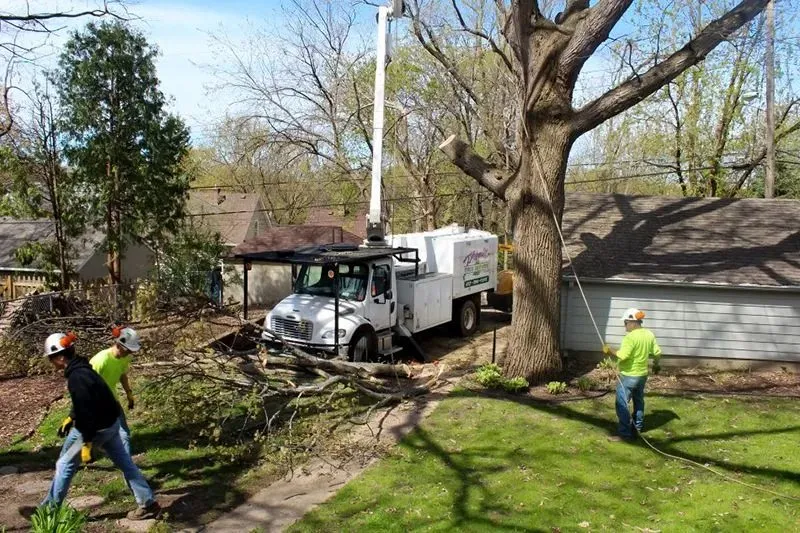 Professional landscape installation in Pierz, MN - Premier Tree Service