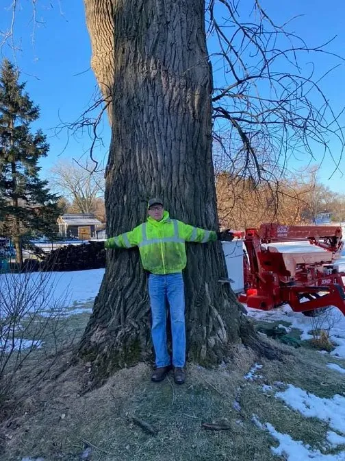 Affordable landscape installation in Pierz, MN by Premier Tree Service