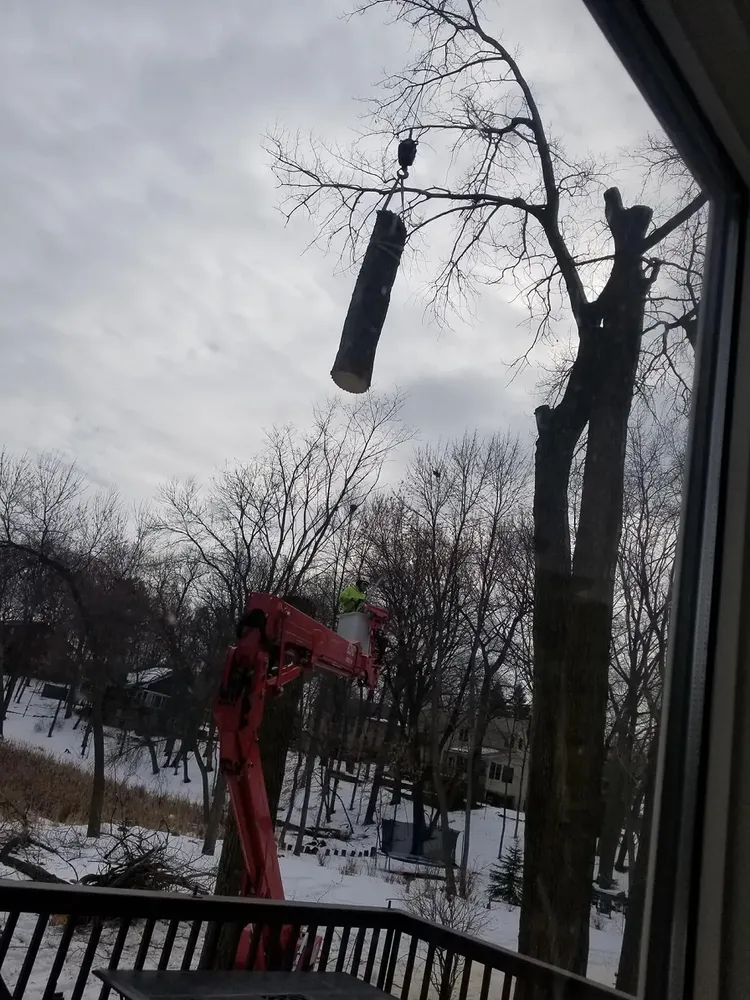 Expert landscaping services for outdoor upgrades in Pierz, MN by Premier Tree Service