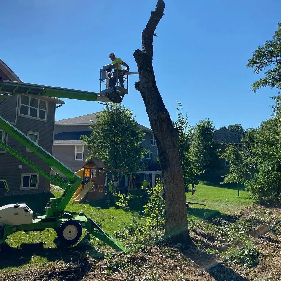 Trusted lawn mowing service experts serving Pierz, MN - Premier Tree Service