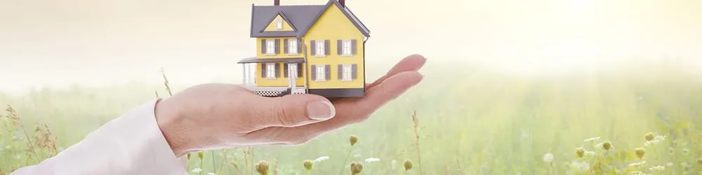 Reliable residential landscaping in Pierz, MN - Premier Tree Service