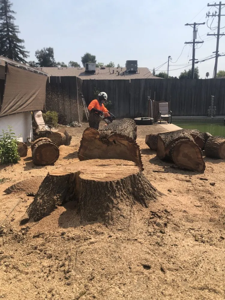 Custom landscape installation experts serving San Jose, CA - Premier Tree Service