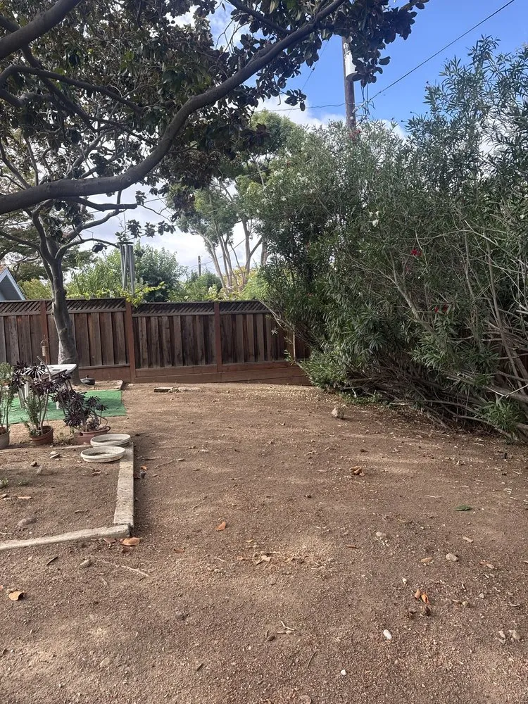 Affordable residential landscaping in San Jose, CA - Premier Tree Service