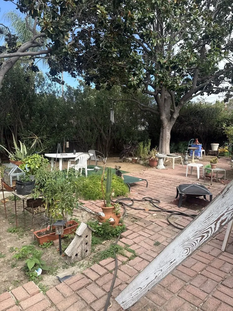 Top-rated landscape installation experts serving San Jose, CA - Premier Tree Service