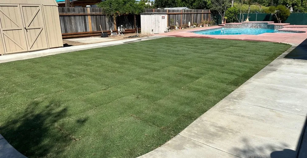 Trusted lawn care service for beautiful yards across San Jose, CA - Premier Tree Service