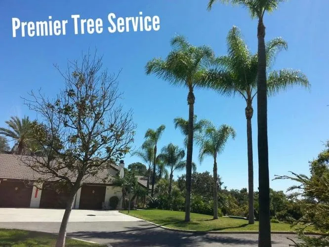 Expert lawn care service for homes across San Jose, CA - Premier Tree Service