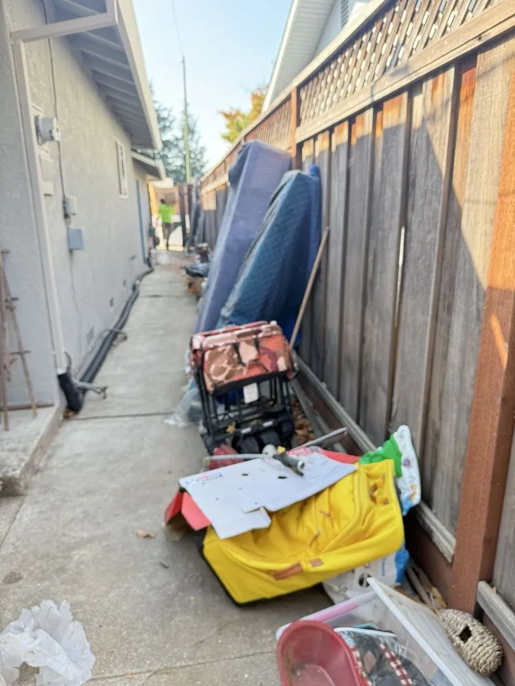 Top-rated lawn mowing service for residential properties across San Jose, CA - Premier Tree Service