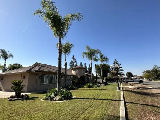 Premier Tree Service Logo