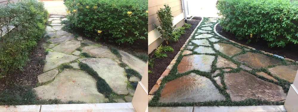 Expert landscape installation in Newnan, GA by Premier Turf and Landscapes