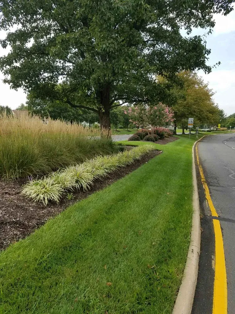 Custom lawn care service in Broad Run, VA - Premier Turf And Landscaping