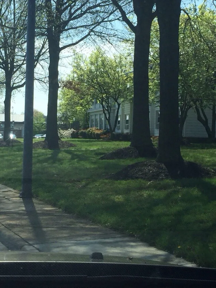 Affordable landscaping services for beautiful yards in Broad Run, VA by Premier Turf And Landscaping