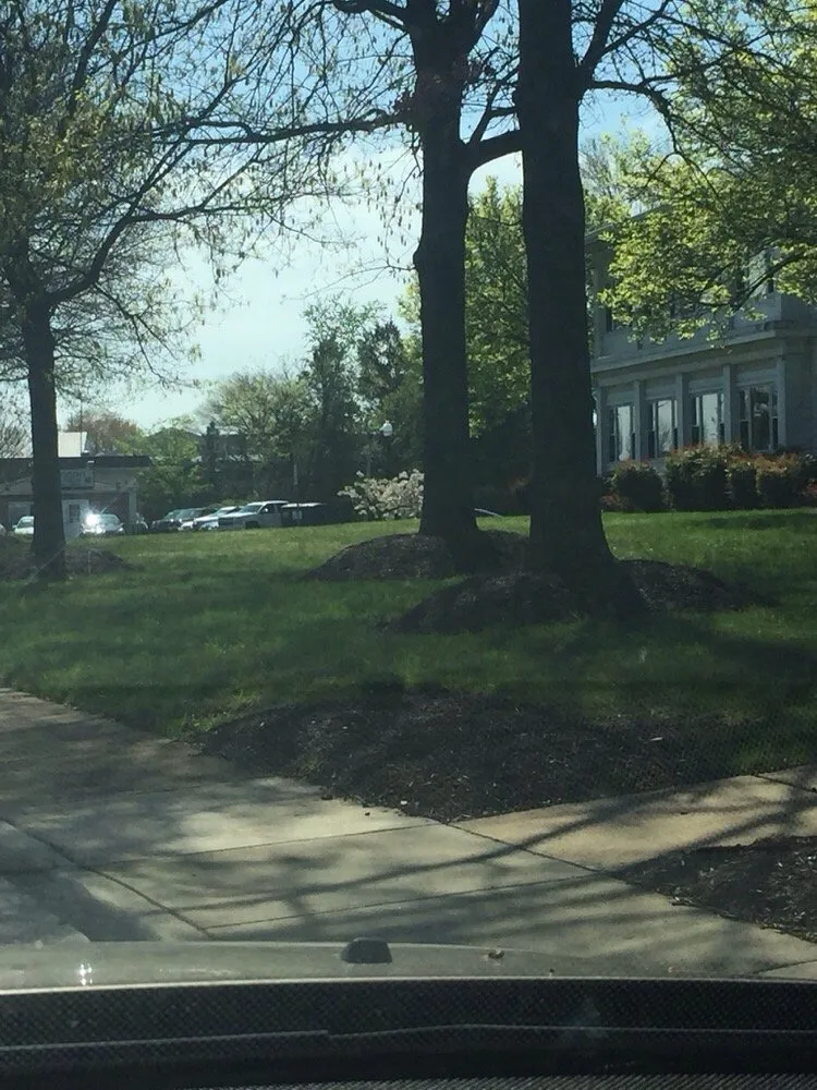 Professional landscape installation in Broad Run, VA by Premier Turf And Landscaping