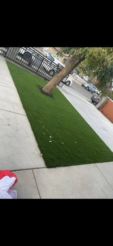 Trusted yard maintenance in Modesto, CA by Premier Valley Landscaping
