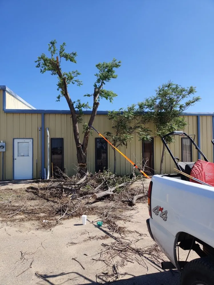 Local landscape installation with custom design across Portales, NM - Premier Vista Landscape Design Pros