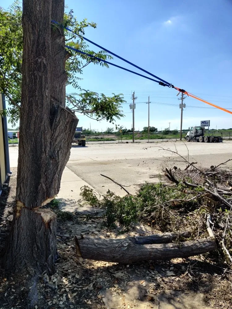 Custom landscaping services near you across Portales, NM - Premier Vista Landscape Design Pros