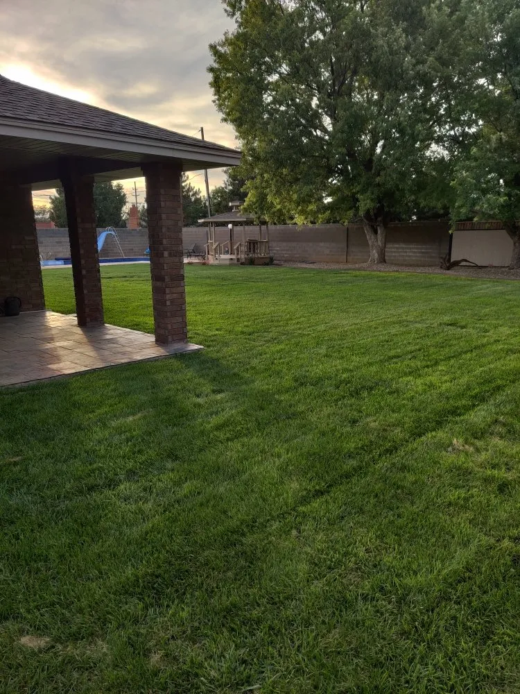Professional yard maintenance experts serving Portales, NM - Premier Vista Landscape Design Pros