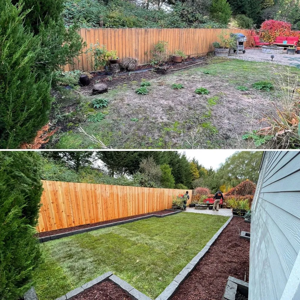 Expert yard cleanup service in Vancouver, WA - Premier Works