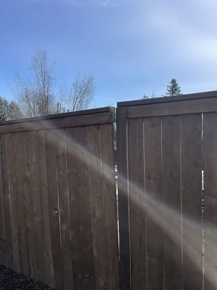 Expert yard maintenance in Vancouver, WA - Premier Works