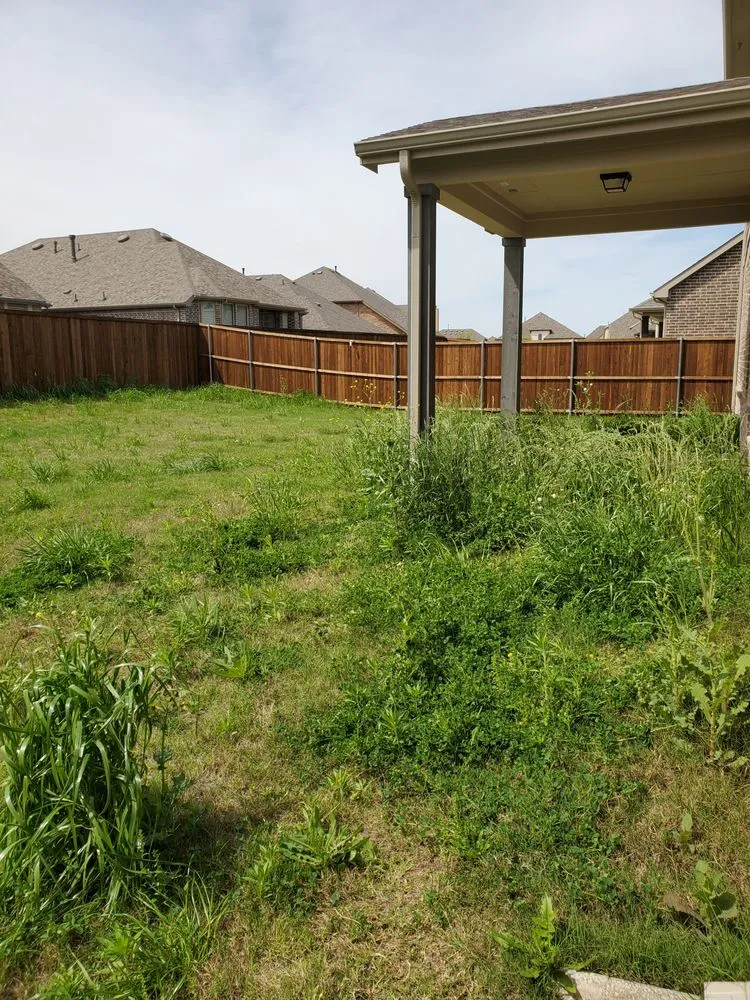 Affordable outdoor landscaping for homes in Cross Roads, TX by Premier Yard & Tree Pros