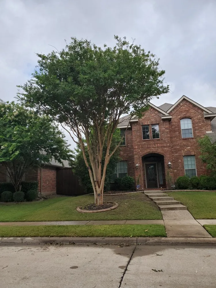 Custom yard maintenance in Cross Roads, TX by Premier Yard & Tree Pros