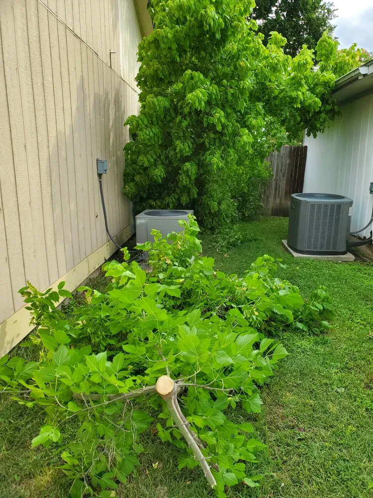 Expert landscaping services experts serving Cross Roads, TX - Premier Yard & Tree Pros