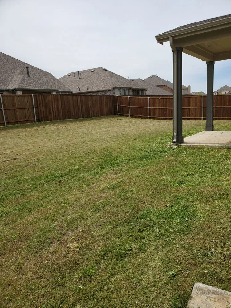 Top-rated yard maintenance near you across Cross Roads, TX - Premier Yard & Tree Pros