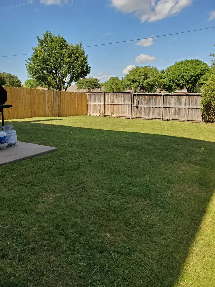 Custom landscape installation for residential properties in Cross Roads, TX by Premier Yard & Tree Pros