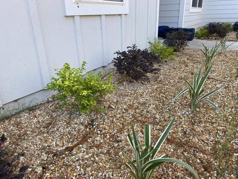 Local outdoor landscaping in Branford, FL - Premier Yard Pro's