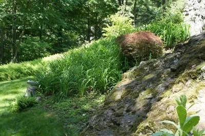 Professional outdoor landscaping experts serving Weston, MA - Premiere Landscape