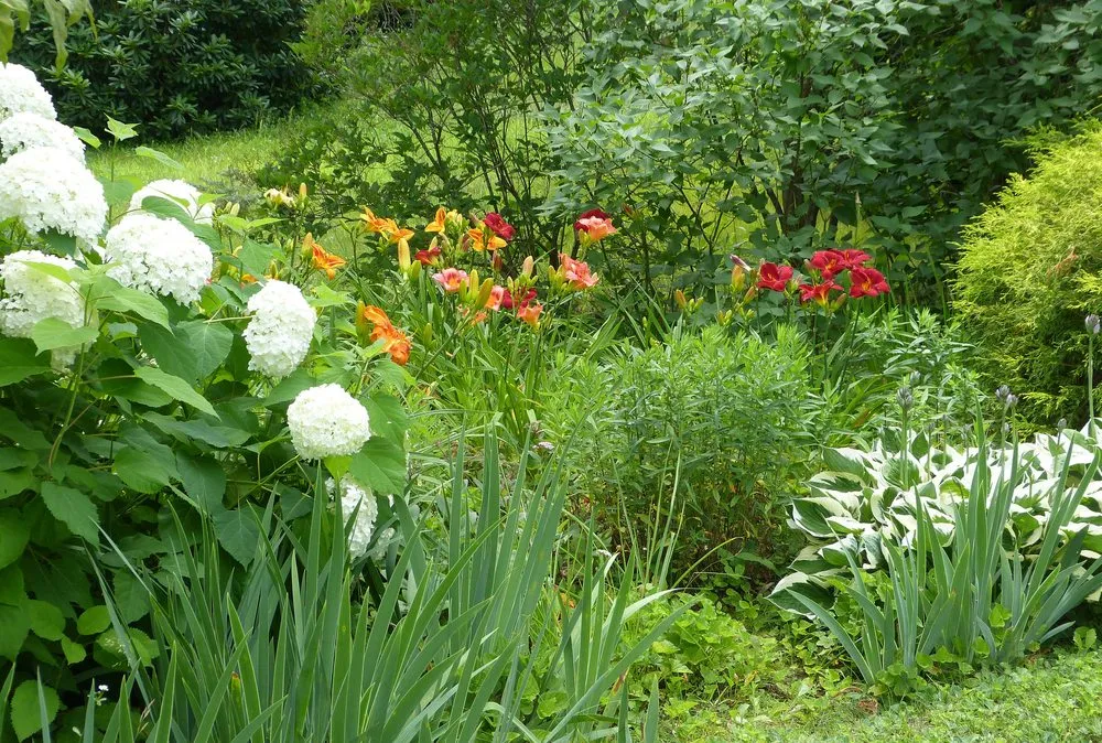 Expert lawn mowing service experts serving Weston, MA - Premiere Landscape