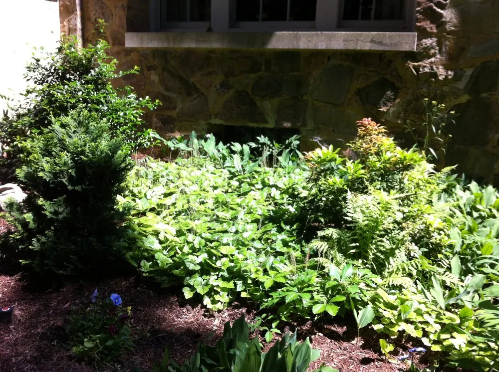 Expert yard maintenance experts serving Weston, MA - Premiere Landscape