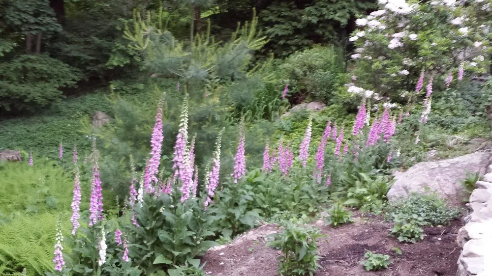 Trusted landscape installation in Weston, MA - Premiere Landscape