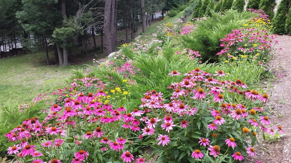 Trusted yard maintenance in Weston, MA by Premiere Landscape