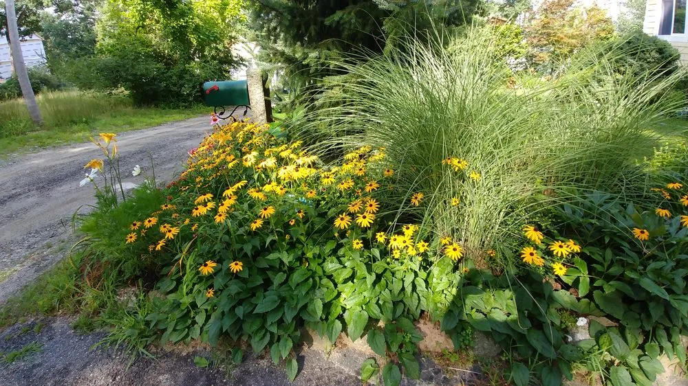 Affordable lawn mowing service in Weston, MA by Premiere Landscape