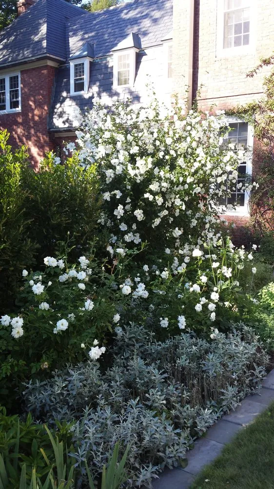 Professional landscaping services with custom design in Weston, MA by Premiere Landscape