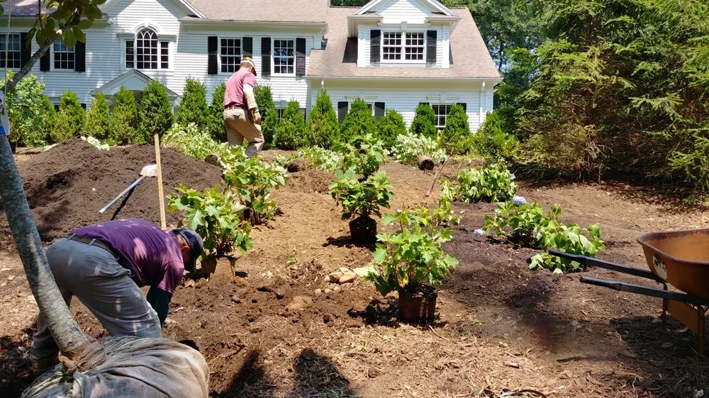 Trusted yard cleanup service near you in Weston, MA by Premiere Landscape