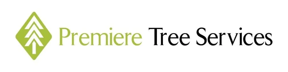 Professional yard cleanup service in Saint Louis, MO by Premiere Tree Services of St Louis