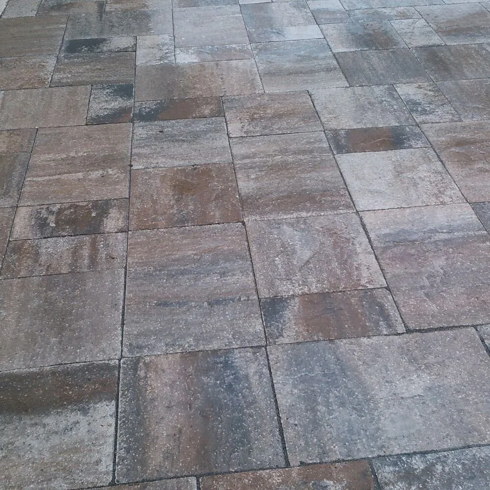 Professional yard cleanup service in Lake Butler, FL by Premierscape